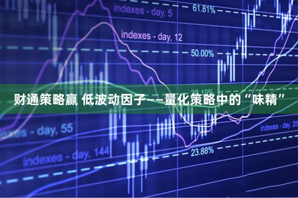 财通策略嬴 低波动因子——量化策略中的“味精”